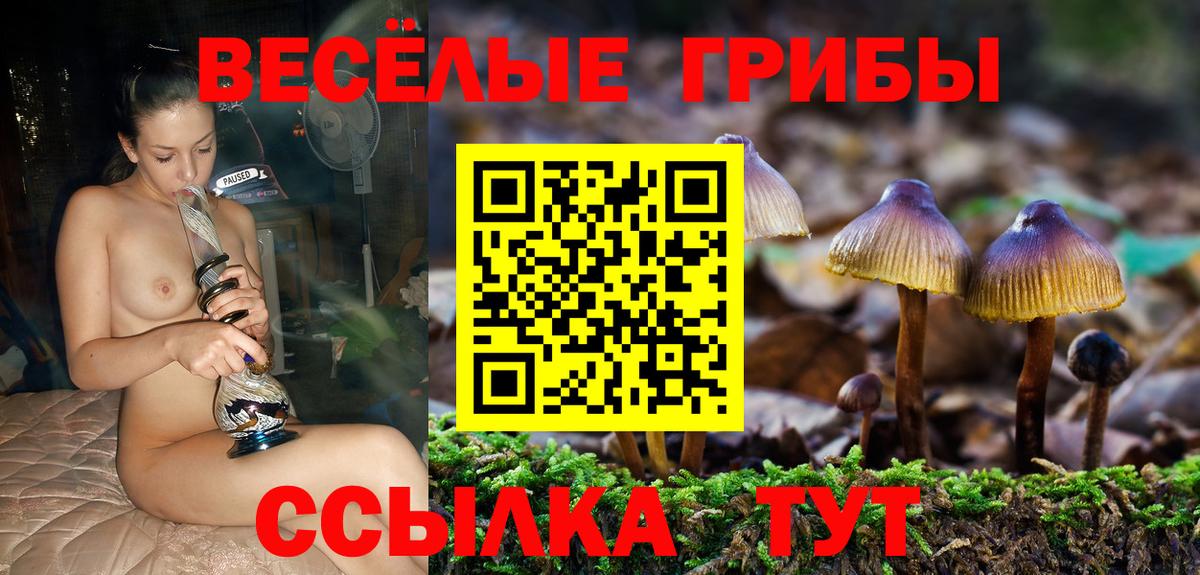 Галлюциногенные грибы MAGIC MUSHROOMS Егорьевск