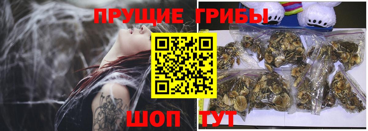 Галлюциногенные грибы мухоморы  Галлюциногенные грибы Magic Shrooms  Вход с VPN  Егорьевск 