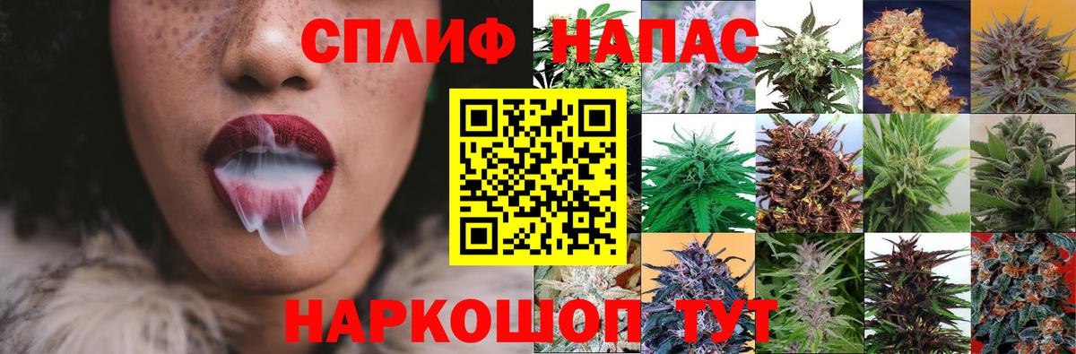 Каннабис Bruce Banner  Бошки марихуана индика  Вход с VPN  Егорьевск  Конопля White Widow  Марихуана тримм 